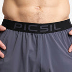 Picsil Premium shorts grey